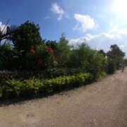 ヒメ日記 2025/07/19 22:18 投稿 にいな めっちゃスイスク梅田店