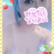 ヒメ日記 2025/04/29 13:25 投稿 ここあ ジューシー