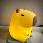 ヒメ日記 2025/08/17 01:37 投稿 かなみ 横浜回春性感マッサージ倶楽部