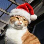 ヒメ日記 2025/12/25 23:57 投稿 かなみ 横浜回春性感マッサージ倶楽部