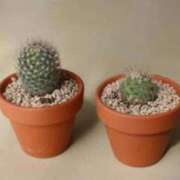 ヒメ日記 2026/01/09 00:27 投稿 かなみ 横浜回春性感マッサージ倶楽部