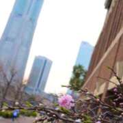 ヒメ日記 2026/03/28 09:47 投稿 かなみ 横浜回春性感マッサージ倶楽部