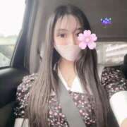 ヒメ日記 2025/03/15 17:20 投稿 愛原 みれい 京都出張メンズエステChou Chou（シュシュ)