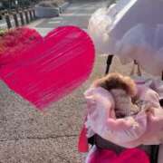 ヒメ日記 2025/03/21 17:54 投稿 愛原 みれい 京都出張メンズエステChou Chou（シュシュ)