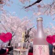 ヒメ日記 2025/04/09 13:40 投稿 愛原 みれい 京都出張メンズエステChou Chou（シュシュ)