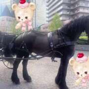 ヒメ日記 2025/04/30 01:20 投稿 愛原 みれい 京都出張メンズエステChou Chou（シュシュ)