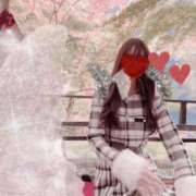 ヒメ日記 2025/11/24 13:50 投稿 愛原 みれい 京都出張メンズエステChou Chou（シュシュ)