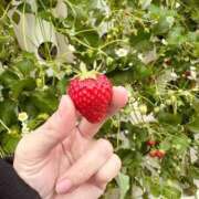 ヒメ日記 2025/03/09 05:36 投稿 まき 道玄坂クリスタル