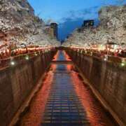 ヒメ日記 2025/04/23 01:23 投稿 椿菜々美 白夜