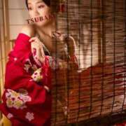 ヒメ日記 2025/05/07 12:53 投稿 椿菜々美 白夜