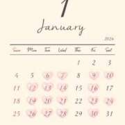 椿菜々美 ✨1月のスケジュール✨ 白夜