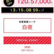 ヒメ日記 2026/03/14 17:01 投稿 椿菜々美 白夜