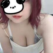 ヒメ日記 2025/02/05 10:06 投稿 れい 元祖ぽちゃカワ倶楽部