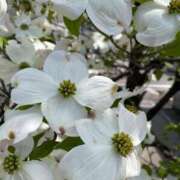 ヒメ日記 2025/05/02 12:18 投稿 いく LEXE ～レグゼ～