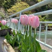 ヒメ日記 2025/05/07 12:48 投稿 いく LEXE ～レグゼ～