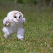 ヒメ日記 2025/04/01 16:40 投稿 あおば THE ESUTE 五反田店