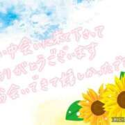 ヒメ日記 2026/07/13 16:41 投稿 えま 奥様さくら難波店