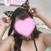 ヒメ日記 2025/12/01 11:04 投稿 こもも One More奥様　蒲田店