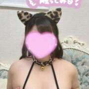 ヒメ日記 2025/12/02 11:04 投稿 こもも One More奥様　蒲田店