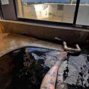 ヒメ日記 2025/11/11 17:17 投稿 しおん～M性感～ アメイジングビル～道後最大級！遊び方無限大∞ヘルス♪～