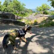 ヒメ日記 2026/06/05 13:01 投稿 しおん～M性感～ アメイジングビル～道後最大級！遊び方無限大∞ヘルス♪～