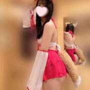 ヒメ日記 2025/01/19 14:22 投稿 あんず お姉京都