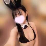 ヒメ日記 2025/02/07 17:52 投稿 あんず お姉京都