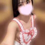 ヒメ日記 2025/02/13 17:42 投稿 あんず お姉京都