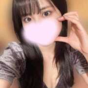 ヒメ日記 2025/03/15 01:02 投稿 あんず お姉京都