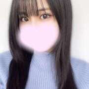 ヒメ日記 2025/04/08 16:17 投稿 あんず お姉京都