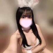 ヒメ日記 2025/04/09 21:22 投稿 あんず お姉京都