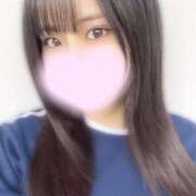 ヒメ日記 2025/04/24 15:03 投稿 あんず お姉京都