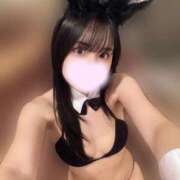 ヒメ日記 2025/05/17 22:42 投稿 あんず お姉京都