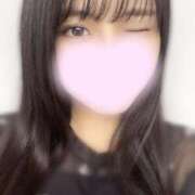 ヒメ日記 2025/07/15 16:19 投稿 あんず お姉京都