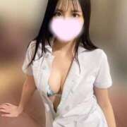 ヒメ日記 2025/11/18 17:52 投稿 あんず お姉京都