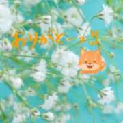 ヒメ日記 2024/12/12 20:57 投稿 榎本 あなたに逢いたくて