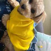 ヒメ日記 2024/12/13 17:02 投稿 たむ Vivienne池袋西口店