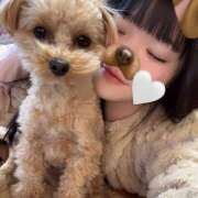 ヒメ日記 2024/12/17 17:01 投稿 たむ Vivienne池袋西口店