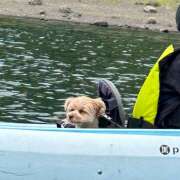 ヒメ日記 2025/05/29 15:39 投稿 たむ Vivienne池袋西口店