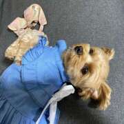 ヒメ日記 2025/06/13 16:03 投稿 たむ Vivienne池袋西口店