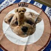 ヒメ日記 2025/06/26 16:00 投稿 たむ Vivienne池袋西口店