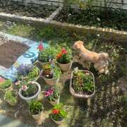 ヒメ日記 2025/07/13 16:30 投稿 たむ Vivienne池袋西口店