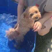 ヒメ日記 2025/08/31 17:27 投稿 たむ Vivienne池袋西口店