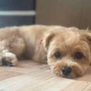 ヒメ日記 2025/09/22 14:51 投稿 たむ Vivienne池袋西口店