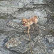 ヒメ日記 2025/09/26 15:23 投稿 たむ Vivienne池袋西口店