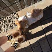 ヒメ日記 2026/02/05 14:15 投稿 たむ Vivienne池袋西口店