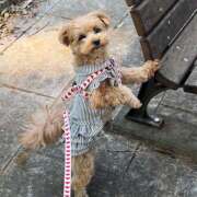 ヒメ日記 2026/02/21 16:30 投稿 たむ Vivienne池袋西口店