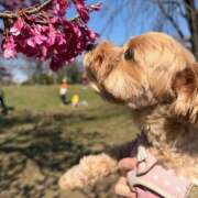 ヒメ日記 2026/03/14 16:30 投稿 たむ Vivienne池袋西口店