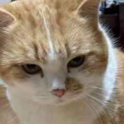 ヒメ日記 2026/04/02 19:42 投稿 えま ぽっちゃりプリンセス