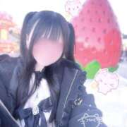 ヒメ日記 2026/10/08 00:34 投稿 ねね 吉祥寺 添い寝女子